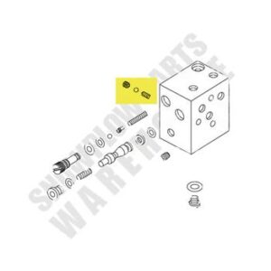 49225 WESTERN INLET CHECK VALVE KIT