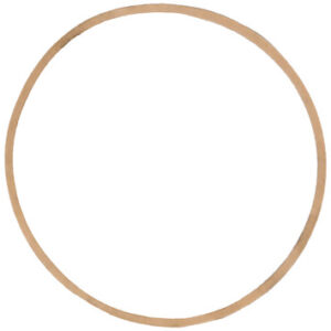 1306165 SAM Plow Parts, 1306165 SAM Plow Parts, Gasket for Meyer OEM: 551G